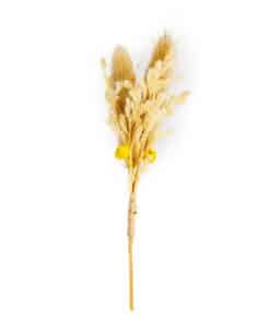 Fleurs séchés bouquet taupe